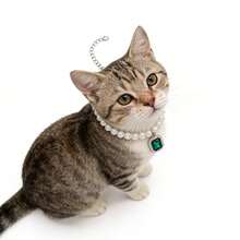 Zgardă elegantă pentru animale de companie cu perle artificiale, senzație de lux potrivită pentru pisici și câini, purtarea zilnică nu va deteriora blana, elastic reglabil, durabilă și rezistentă la decolorare - Multicolor - Vizualizare 5