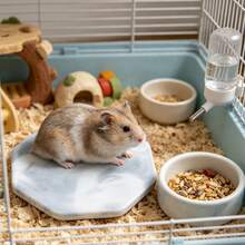 Hamster Cooling Mat, Anti-Bite And Anti-Flip, Random Texture, Easy To Clean, Perfect Choice For Cooling Hamsters In Summer, Also Suitable For Small Pet Cages And Landscape Decoration. Suitable For Small Hamsters. - View 5