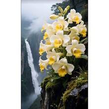 Estética de las semillas de orquídea: Los secretos naturales detrás de los elegantes tonos - 200 semillas - 200 semillas - Ver 1