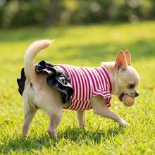 Đầm ngắn tay bèo kẻ sọc dễ thương cho cún cưng nhỏ với chân váy xếp tầng giả da, chất liệu dệt kim gân cho thú cưng mùa thu đông - Trang phục bé gái sành điệu - Đỏ - Xem 6