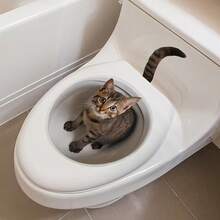 1 Peça Adesivo Criativo de Assento de Vaso Sanitário 3D em Formato de Gato, Design de Gato Fofo, Fácil Instalação, Decoração Realista de Banheiro de Gato, Adequado para Casa, Banheiro, Amantes de Gatos, Presente de Halloween - Multicolorido - Visão 3