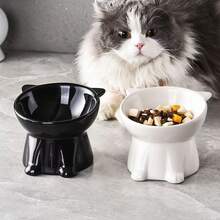 宠物猫狗颈部保护喂食碗,高脚猫狗食物碗,宠物饮水碗,UFO造型宠物碗,旨在保护颈部和脊椎,防滑宽底座,耐用塑料材质,适用于猫和小型犬,适用于干湿食物,实用宠物礼品。 - 300ml - 查看 2