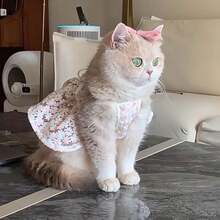 粉色蕾丝花卉宠物连衣裙，甜美刺绣猫狗连衣裙，带蝴蝶结，透气夏季小宠物服装 - 粉色 - 查看 5
