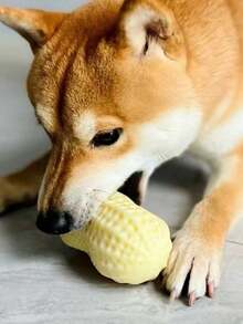 2个装狗狗磨牙玩具，花生形发声球，耐用磨牙棒，适合小型/中型犬 - 薑色 - 查看 3