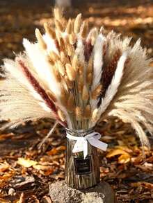 109 fleurs de pampa séchées, herbes blanches en forme de queue de lapin mélangées à des herbes de pampa brunes, pour la décoration de la maison, du salon et des fêtes – Fournitures pour mariage et fête de style bohème champêtre - 30-50 cm - Voir 7