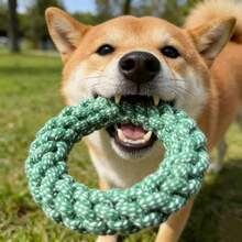 18cm Ring Dog Toy | Durable Knotted Design! All-In-One For Medium/Small Dogs Chewing, Dental Care, Playing & Training, Bite-Resistant & Long-Lasting, Companion! - Army Green - View 10