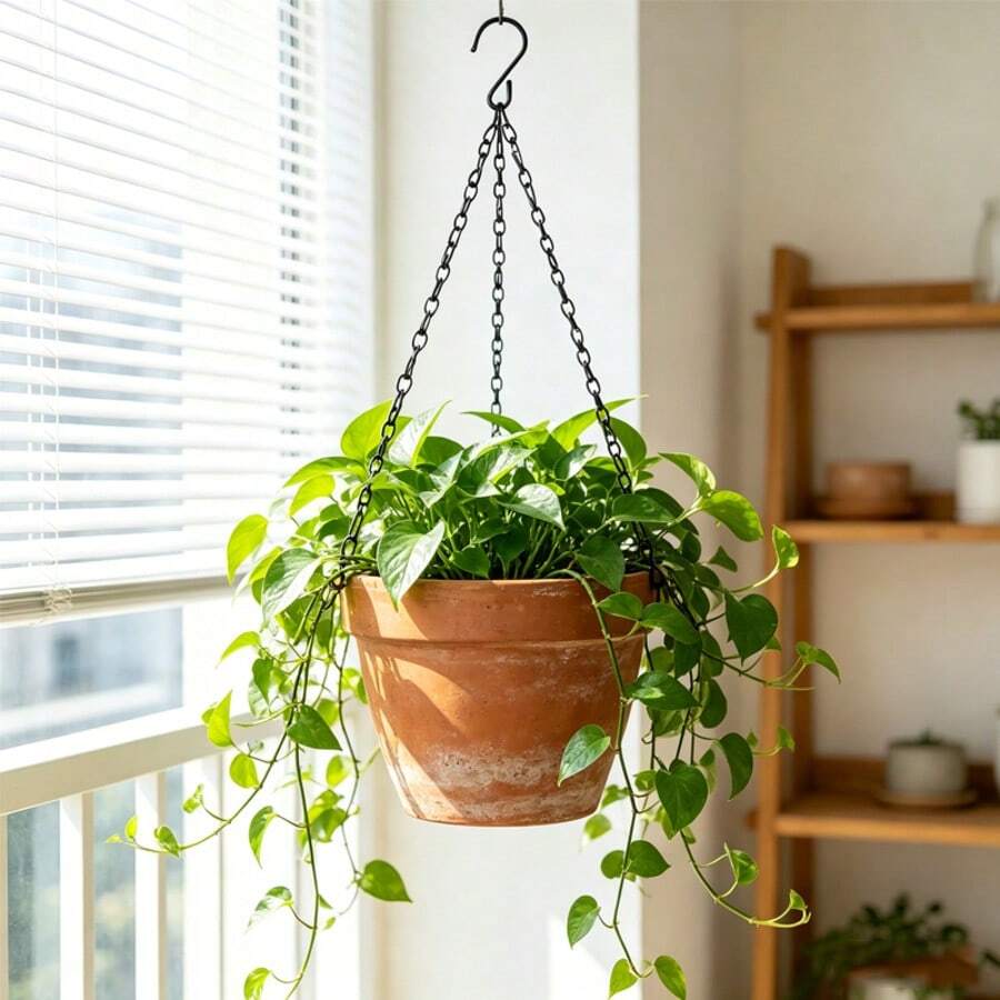 5件套金属植物吊链，带S形挂钩，多用途链钩，多种尺寸可选，可用于悬挂花盆，也适用于鸟食喂食器、灯笼、风铃、标牌和室内/室外装饰。