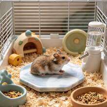 Hamster Cooling Mat, Anti-Bite And Anti-Flip, Random Texture, Easy To Clean, Perfect Choice For Cooling Hamsters In Summer, Also Suitable For Small Pet Cages And Landscape Decoration. Suitable For Small Hamsters. - View 8