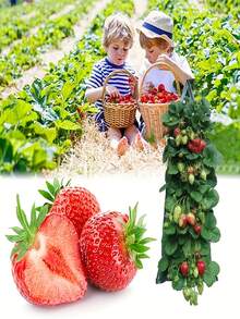 1pc Hanging 8-Pocket Strawberry Planting Bag, Made Of PE Material, Perforated Plant Growing Hanging Bag, Multi-Pocket Fruit Cultivation Bag For Home Use - Multicolor - View 3