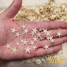 [10/50/100/200 Pcs Natural Small Starfish (Please Check SKU For Quantity And Size) Micro Landscape Beach Wedding Maritime Decor Resin Craft, DIY Vase Filler, Small Star Seashell Beach Craft, 0.4"-1" Suitable For DIY Jewelry Making, Fish Tank/Bathroom Home Decor, Party Candle Wedding Decor, Handmade Craft, Best Gift For Birthday Graduation] - Multicolor - View 13