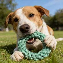 18cm Ring Dog Toy | Durable Knotted Design! All-In-One For Medium/Small Dogs Chewing, Dental Care, Playing & Training, Bite-Resistant & Long-Lasting, Companion! - Army Green - View 6
