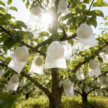 50个/100个装透气防虫网袋，隐藏式抽绳，水果保护网袋，适用于果树，防鸟、防虫、防鹿，带抽绳 - 網袋 - 查看 9