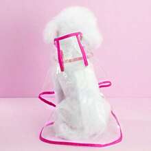 Áo mưa trong suốt cho chó, chó lớn, chó Teddy, chó vừa, chó nhỏ, Bigbear, áo choàng toàn thân cho thú cưng, quần áo cho chó, chống thấm nước hoàn toàn. - trái cam - Xem 4