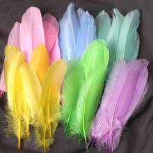 100 片 DIY 手工羽毛，适用于婚礼装饰、服装首饰、灯具、时尚 DIY 配件 - 彩色 - 查看 10