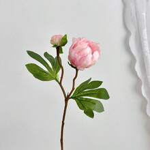 Bó hoa mẫu đơn nhân tạo 1/5/7 cành, hoa mẫu đơn sống động như thật, thích hợp làm quà tặng Ngày Valentine, quà tặng Ngày của Mẹ, trang trí nhà cửa, trang trí bàn tiệc cưới, trang trí tiệc, bó hoa cưới, trang trí văn phòng, trang trí phòng ngủ và phòng khách, trang trí quanh năm. - Nhiều màu - Xem 9