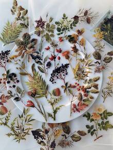 1 Pack Of 40 Pcs Vintage Forest Floral Plant Fruit PET Stickers, Retro DIY Decorative Collage Materials - DT1772 - View 6