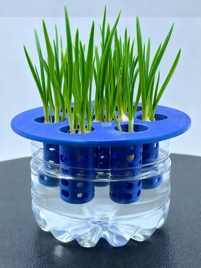 1pc 3D Printed Mold For DIY Hydroponic Planting Of Garlic & Green Onion
