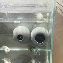 創意水族裝飾 3D 列印球形魚缸遮蔽處 魚蝦躲藏屋 多孔結構 - A - 查看 6