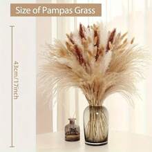 109 fleurs de pampa séchées, herbes blanches en forme de queue de lapin mélangées à des herbes de pampa brunes, pour la décoration de la maison, du salon et des fêtes – Fournitures pour mariage et fête de style bohème champêtre - 30-50 cm - Voir 3