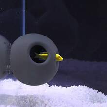 創意水族裝飾 3D 列印球形魚缸遮蔽處 魚蝦躲藏屋 多孔結構 - A - 查看 8