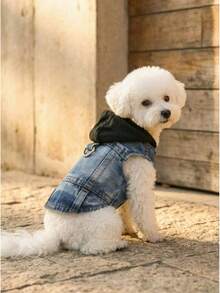 PETSIN 新款连帽背心，适合贵宾犬、比熊犬、泰迪犬等小型犬，春秋季宠物服装 - 藍色 - 查看 3