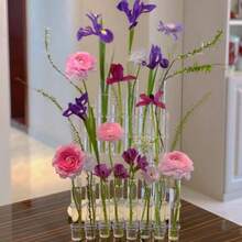 8件套透明水培花架，试管花瓶造型，ins风高性价比简约装饰品，花卉组合，适用于家居装饰 - A - 查看 4