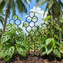 Honeycomb Plant Climbing Trellis, Rust-Resistant Design, Suitable For Potted Vines And Flowers, Space-Saving Indoor/Outdoor Garden Support - A - View 6