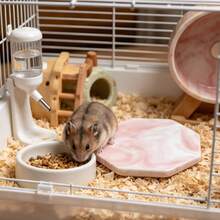 Hamster Cooling Mat, Anti-Bite And Anti-Flip, Random Texture, Easy To Clean, Perfect Choice For Cooling Hamsters In Summer, Also Suitable For Small Pet Cages And Landscape Decoration. Suitable For Small Hamsters. - View 6