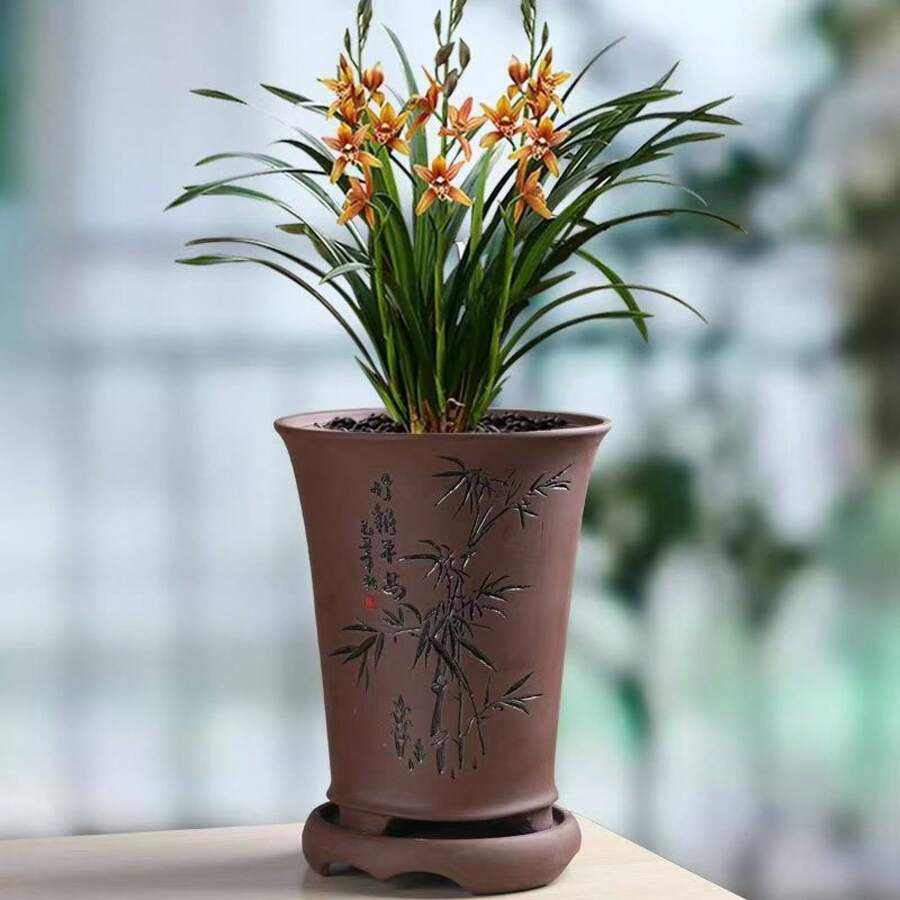 Orchideensamen, gepflanzt zur Gartendekoration, Outdoor-Blumen und -Pflanzen, geeignet für Pflanzenliebhaber als Geschenk der Natur, lokal geliefert. - 50 Stück/Samen - Übersicht 1