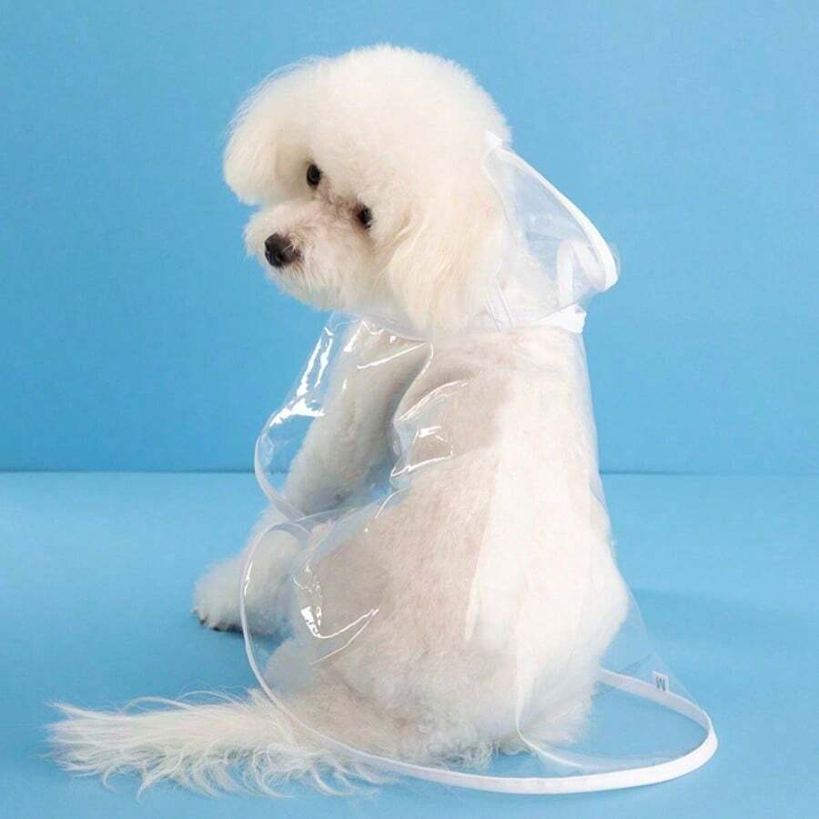 Áo mưa trong suốt cho chó, chó lớn, chó Teddy, chó vừa, chó nhỏ, Bigbear, áo choàng toàn thân cho thú cưng, quần áo cho chó, chống thấm nước hoàn toàn. - trái cam - Xem 1