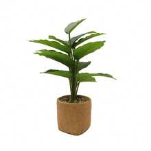 Artificial Faux Bird Of Paradise Plant In Woven Pot 32cm Vibrant Faux Tropical Foliage Elevate Your Space Aesthetic Houseplant For Home Office Desk Decor - Green - View 10