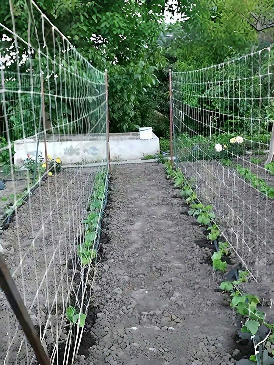 1件/2件裝 植物攀爬網，尼龍花園攀爬網，[白色攀爬網] 重型PP花園格柵網，絲瓜、牽牛花藤蔓植物攀爬網，黃瓜藤生長支撐架棚網，多種尺寸可選，適用於黃瓜、番茄、豆類