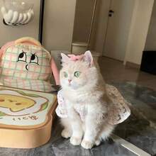 粉色蕾丝花卉宠物连衣裙，甜美刺绣猫狗连衣裙，带蝴蝶结，透气夏季小宠物服装 - 粉色 - 查看 3