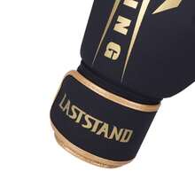 LASTSTAND Boxing Gloves For Sanda, Combat, Muay Thai, Adult & Youth, Men & Women, Fighting Training - Multicolor - View 9