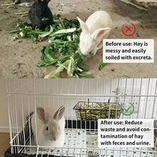 Metal Rabbit Feeder Basket With Hay Rack, Grid Design - Elevated Hay Rack For Small Pets, Durable Cage With Leak-Proof Design For Easy Cleaning, Pet Feeding Station | Cylindrical Wire Frame | Sturdy And Durable Structure, Rabbit Feeder - View 8