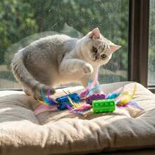 Đồ chơi cho thú cưng - Đồ chơi lăn hình lông vũ, mô phỏng lông vũ, giúp mèo giải trí và thư giãn. - Xem 6