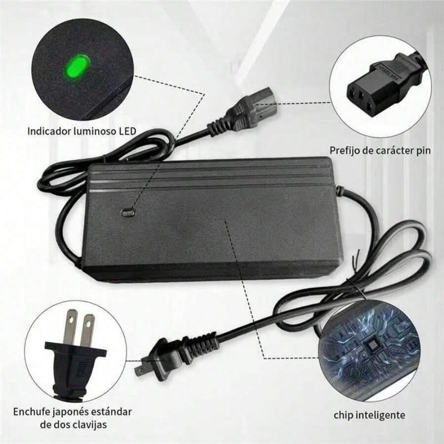 Electric Bicycle Charger: Model 48V20AH - Black - View 1