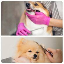 Bàn chải chải lông bằng thép không gỉ, thích hợp cho chó, chó Poodle, chó Golden Retriever, loại bỏ lớp lông tơ, bàn chải chải chuốt. - Nhiều màu - Xem 6
