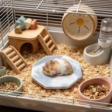 Hamster Cooling Mat, Anti-Bite And Anti-Flip, Random Texture, Easy To Clean, Perfect Choice For Cooling Hamsters In Summer, Also Suitable For Small Pet Cages And Landscape Decoration. Suitable For Small Hamsters. - View 7
