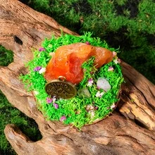 1件天然七脉轮星座疗愈水晶摆件，森林能量宝石雕像，健康家居桌面装饰礼品，母亲节和父亲节礼物 - 十二星座原石擺件 - 查看 8