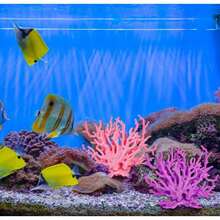 1pc Aquarium Landscape Decoration Realistic PVC Coral Tree Fish Tank Ornament Orange Pink Fluorescent Coral Micro Landscape Aquatic Box - A - View 4