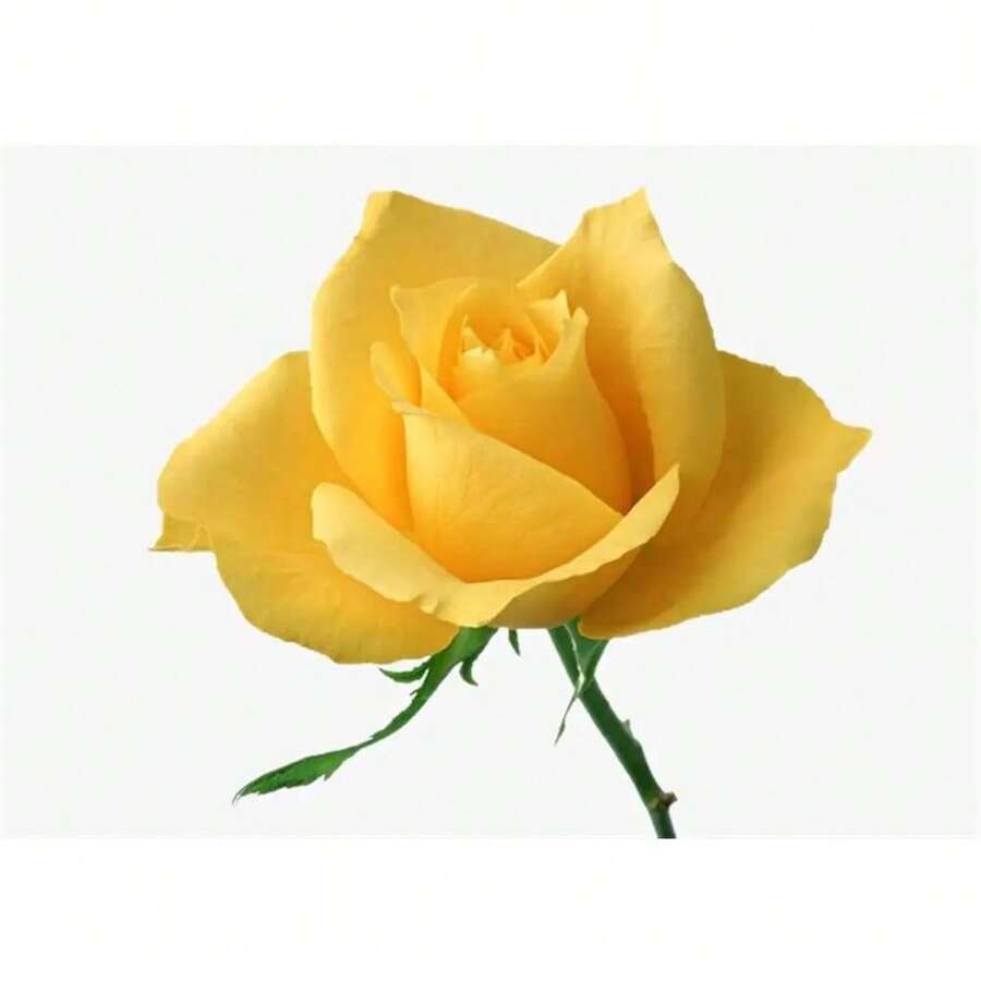 200 piezas de decoración de flores de rosa amarilla para el hogar, balcón, jardín, patio, plantas en maceta - Variante 1 - Ver 1