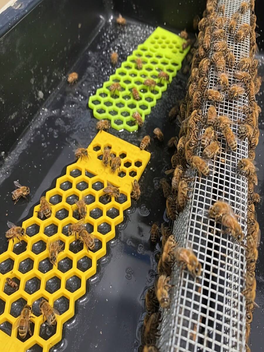 1个漂浮式蜜蜂梯，适用于花园蜜蜂沐浴，彩色蜜蜂昆虫饮水器，蜜蜂饮水器和蝴蝶饮水站，可折叠，易于使用