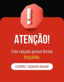 Sandália Feminina Rasteirinha Shirlen - Onça - Visão 6