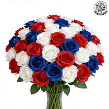 JHSHUDSE 9支逼真红白蓝玫瑰花束 - 阵亡将士纪念日及爱国主题花卉摆设，栩栩如生的天鹅绒玫瑰，适用于墓地装饰、葬礼及纪念活动，经久耐用的人造花，致敬英雄，适合墓地及家庭纪念展示（3支红色+3支白色+3支蓝色） - 混色9支 - 查看 8