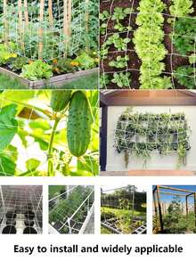 1件/2件裝 植物攀爬網，尼龍花園攀爬網，[白色攀爬網] 重型PP花園格柵網，絲瓜、牽牛花藤蔓植物攀爬網，黃瓜藤生長支撐架棚網，多種尺寸可選，適用於黃瓜、番茄、豆類 - 多色 - 查看 7