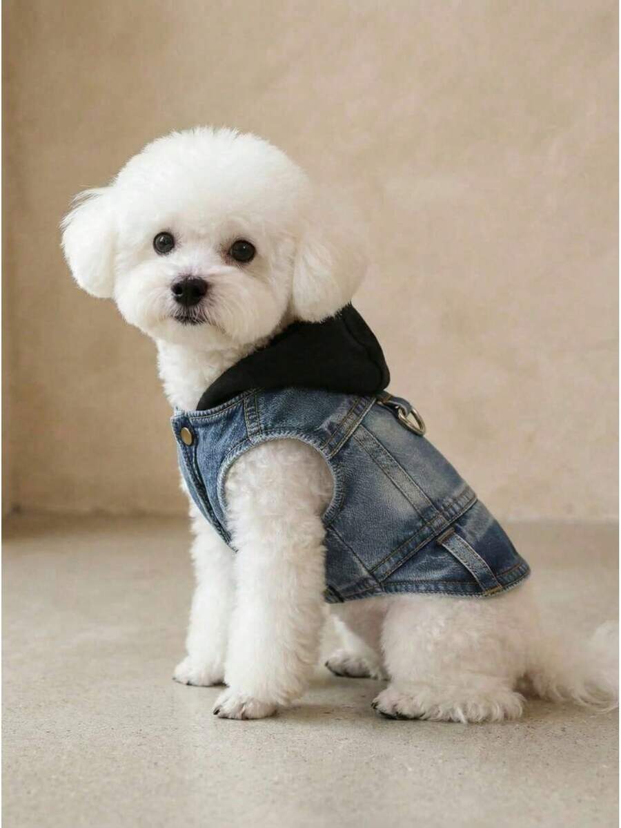 PETSIN 新款连帽背心，适合贵宾犬、比熊犬、泰迪犬等小型犬，春秋季宠物服装 - 藍色 - 查看 1