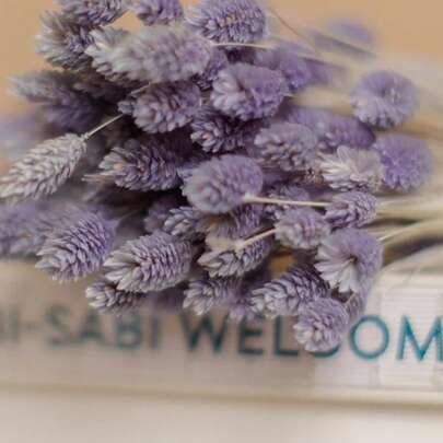 20/50/100pcs Gemstone Grass Artificial Flowers, Available In Multiple Colors, Suitable For Home Decoration, Vase Arrangement, DIY Bouquets And Cake Decoration.