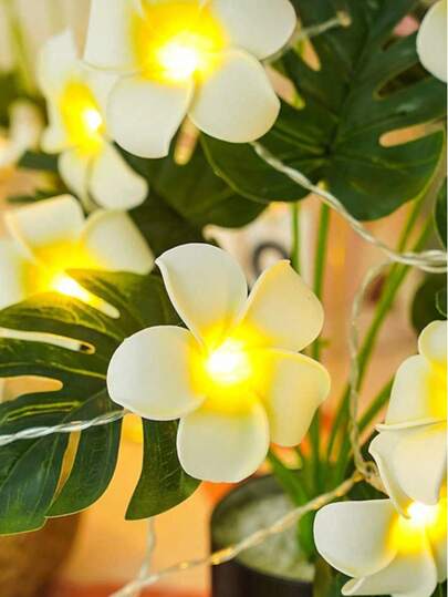 أضواء سلسلة زهور الياسمين الرغوية التي تعمل بالبطارية، أضواء جنية مناسبة لحفلات عيد الميلاد والزفاف والغرف الداخلية وحفلات هاواي