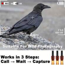 Portable Crow Caller Whistle,Outdoor Hunting Bird Luring Device With Loud Crow Attractor Sound For Outdoor Enthusiasts&Beginners - Multicolor - View 5